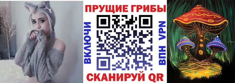 Галлюциногенные грибы GOLDEN TEACHER  blacksprut зеркало  Весьегонск 